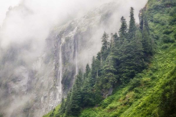 WA, North Cascades NP, Waterfall and fog